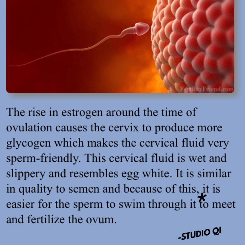 Are you Ovulating? Are you Ovulating?